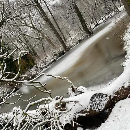 Zur Schloßmühle Hotel Borna