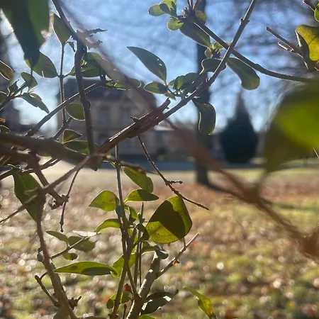 Szálloda Zur Schlossmuehle Borna