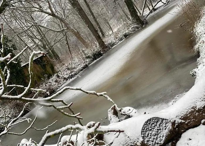 Zur Schlossmuehle Hotel Borna