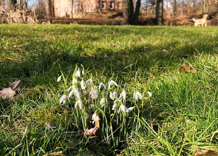 Zur Schlossmuehle Hotel Borna