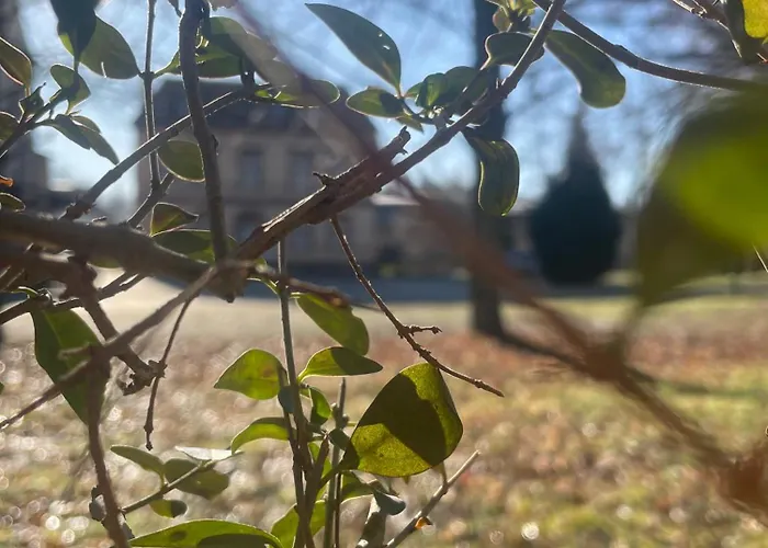 Hotel Zur Schlossmuehle Borna